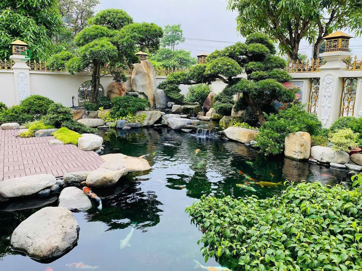 Hồ cá Koi đẹp với hệ thống lọc chuyên nghiệp