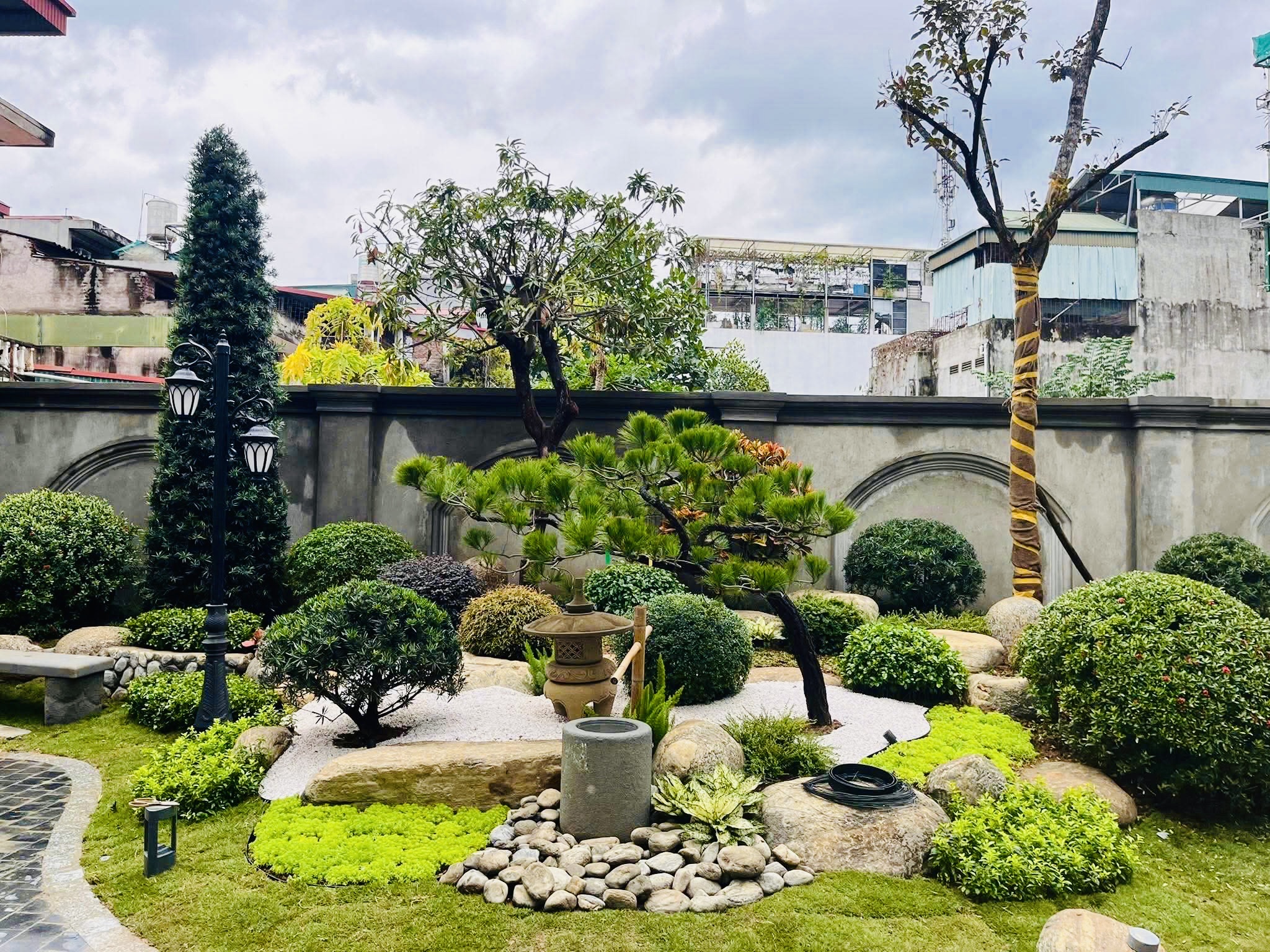 Ảnh hồ cá Koi 2