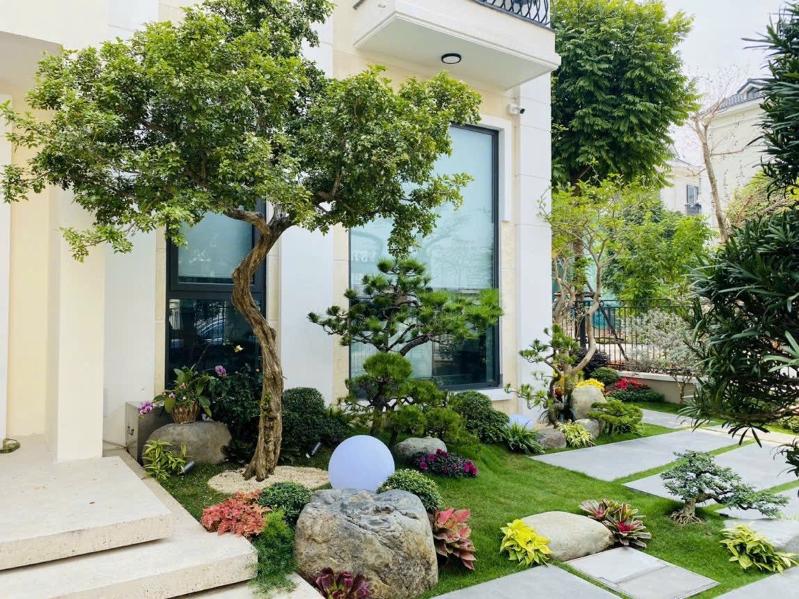 Ảnh lối đi sân vườn 4