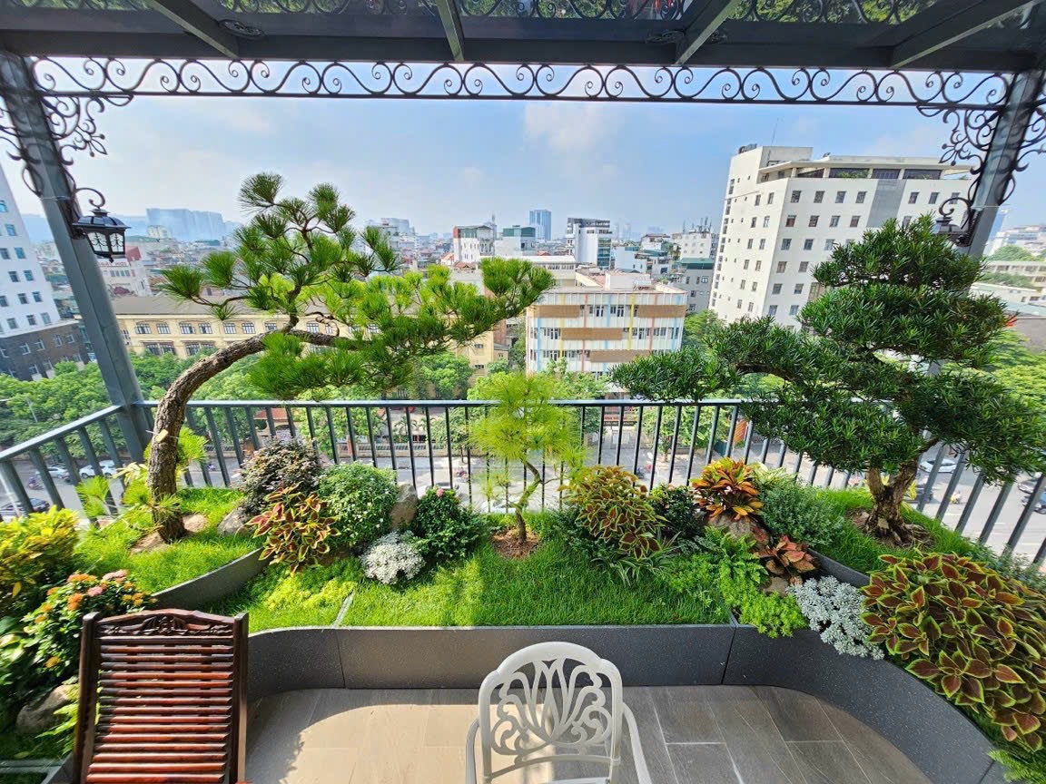 Ảnh tiểu cảnh Zen 3